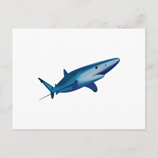 BLUE SHARK POSTKARTE (Vorderseite)