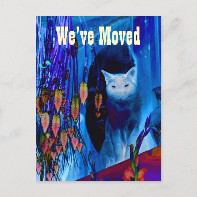 Blue Siamese Cat Moving New Address Postcard Ankündigungspostkarte (Vorderseite)