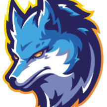 Blue silver fox