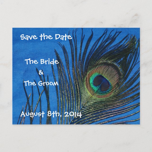 Blue Single Peacock Feather Save the Date Postkart Ankündigungspostkarte (Vorderseite)