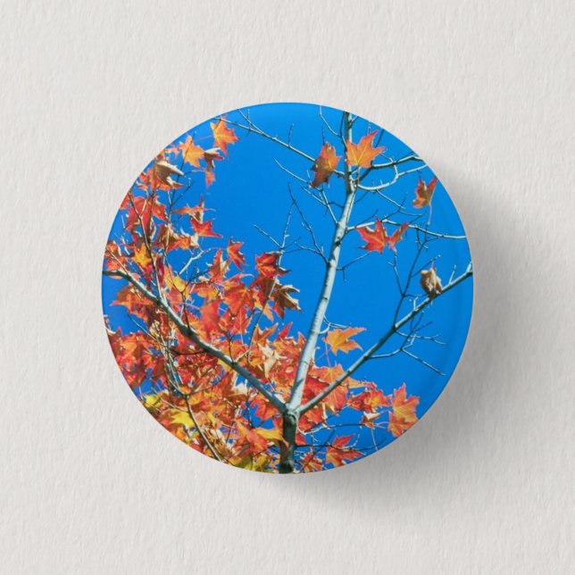 Blue Sky Autumn Tree Button (Vorderseite)