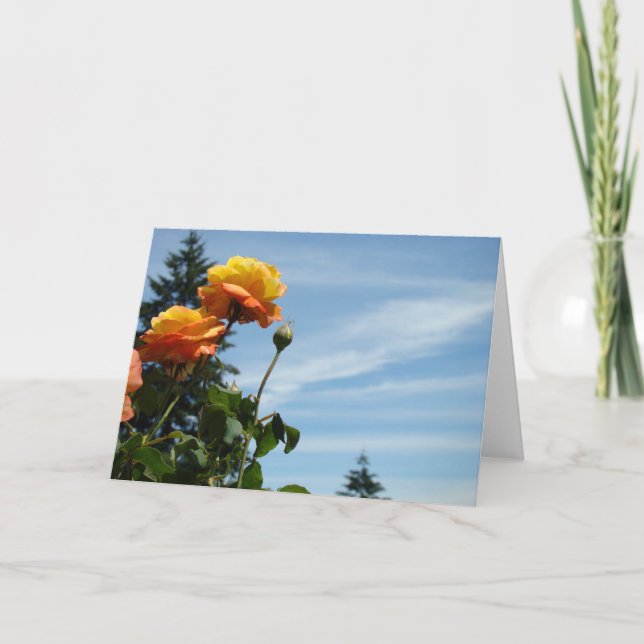 Blue Sky Cartes de voeux Summer Rose Garden (Devant)