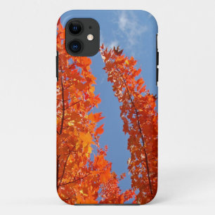 Blue Sky Handy deckt Orange-Herbstlaube ab title_seo2