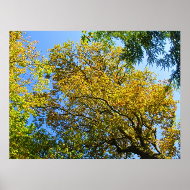 Blue Sky & Herbst - Personalisiert Poster (Vorne)