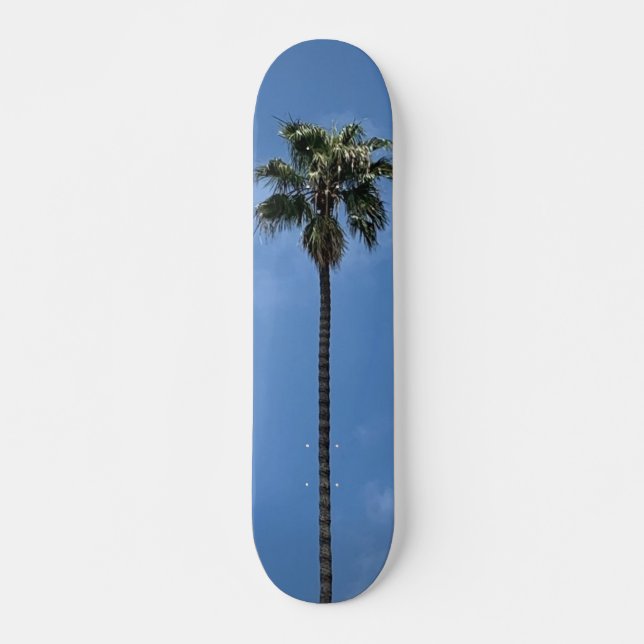 Blue Sky Palm Tree Skateboard (Vorne)