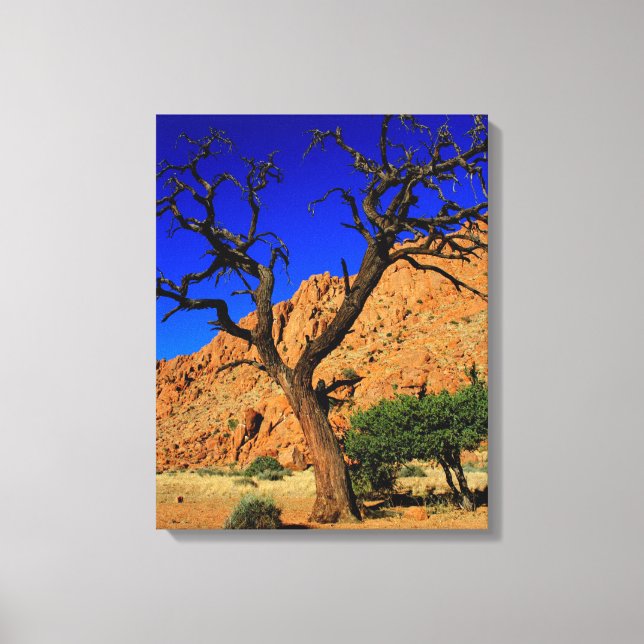 Blue Sky Red Soil Tree Namibia Canvas Print Leinwanddruck (Vorderseite)