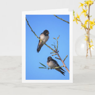 Blue Sky, Swallow Birds Portrait Karte
