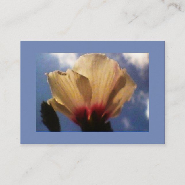 Blue Sky White Rose Visitenkarte (Vorderseite)