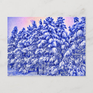 Blue Snowscape, Conifer, CO Postkarte