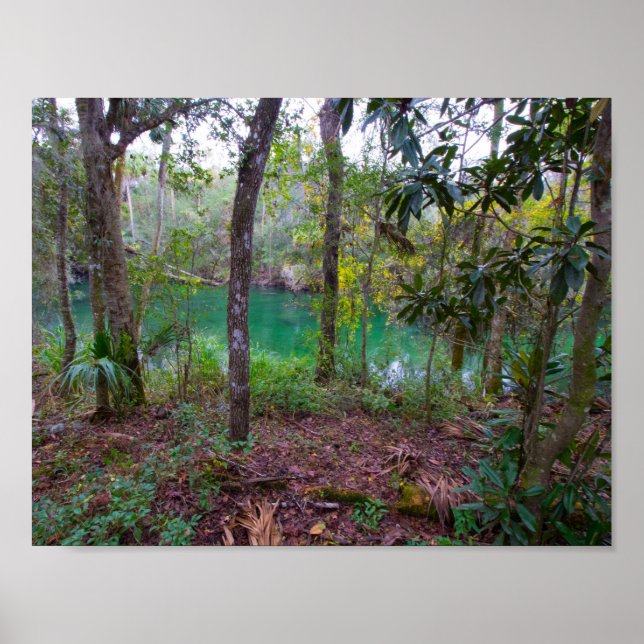 Blue Springs Staat Park, Florida Poster (Vorne)