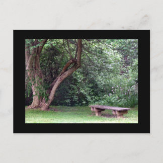 Blue Spruce Park #3 Postkarte