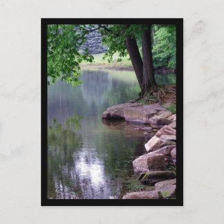 Blue Spuce Park Postcard #1 Postkarte