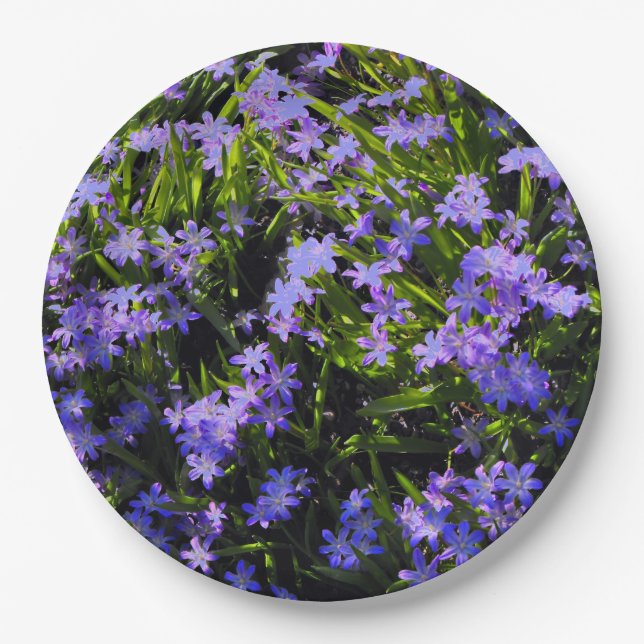 Blue Squill Spring Blumen Dinner Plate Pappteller (Vorderseite)