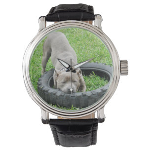 Blue Staffordshire Bull Terrier Play Time Armbanduhr