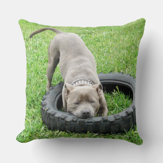Blue Staffordshire Bull Terrier Play Time. Kissen (Vorderseite)