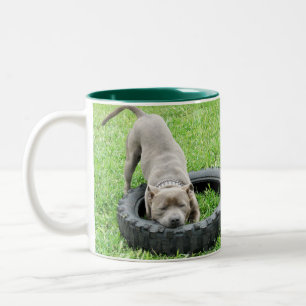 Blue Staffordshire Bull Terrier Play Time Zweifarbige Tasse