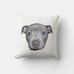 Blue Staffordshire Bull Terrier Puppy Face, weiß Kissen