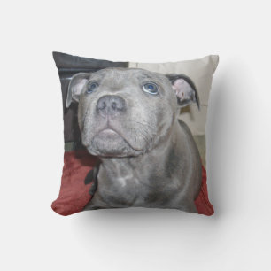 Blue Staffordshire Bull Terrier Puppy Kissen