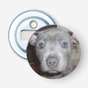 Blue Staffy Puppy Face, Magnetic Flasche Opener. Flaschenöffner