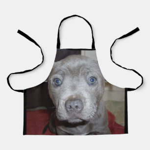Blue Staffy Puppy, Kinder Volldruckapplikation Schürze