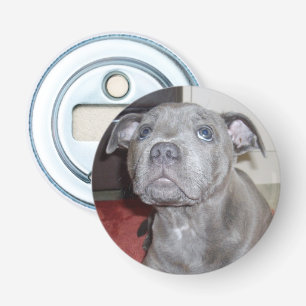 Blue Staffy Puppy Liebe Augen, Flaschenöffner. Flaschenöffner