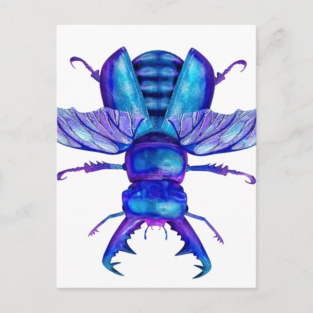 Blue Stag Beetle Postkarte (Vorderseite)