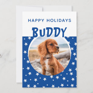 Blue Star Pattern Puppy Foto Holiday Card
