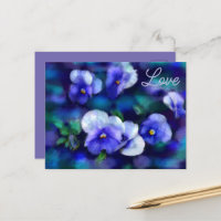 Blue Stiefmütterchens Pansy Blume Blumenkohl Blume