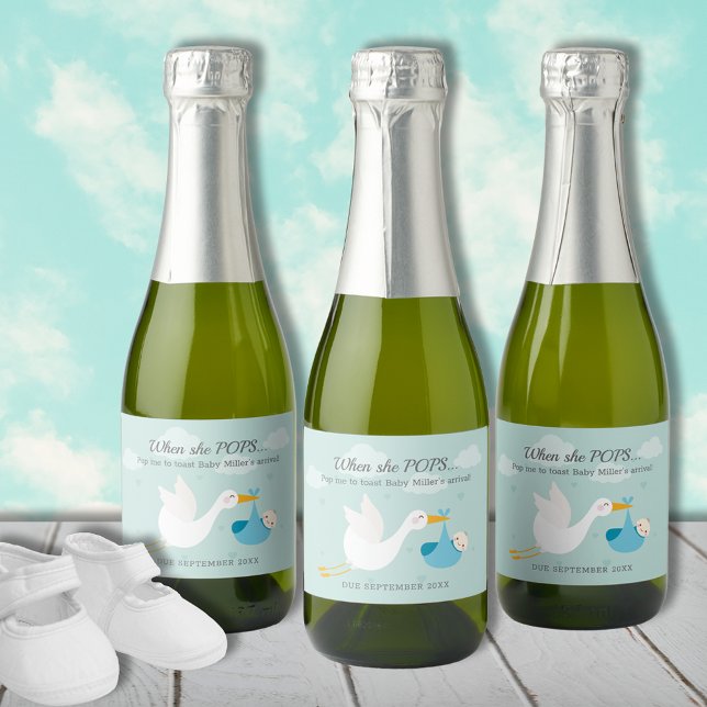 Blue Stork Bundle Pop It Mini (Cute blue stork boy bundle Pop It personalized mini champagne bottle labels)