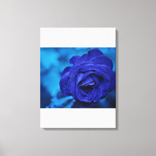 Blue Stretched Canvas Print Leinwanddruck