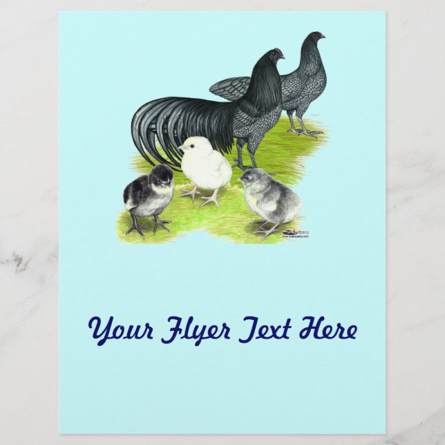 Blue Sumatra Flyer (Vorne)