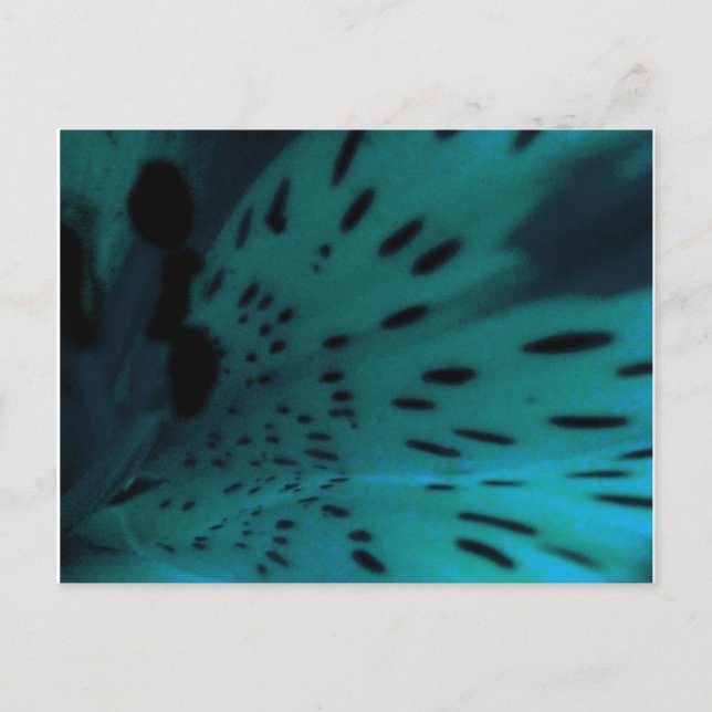 Blue Tiger Postkarte (Vorderseite)