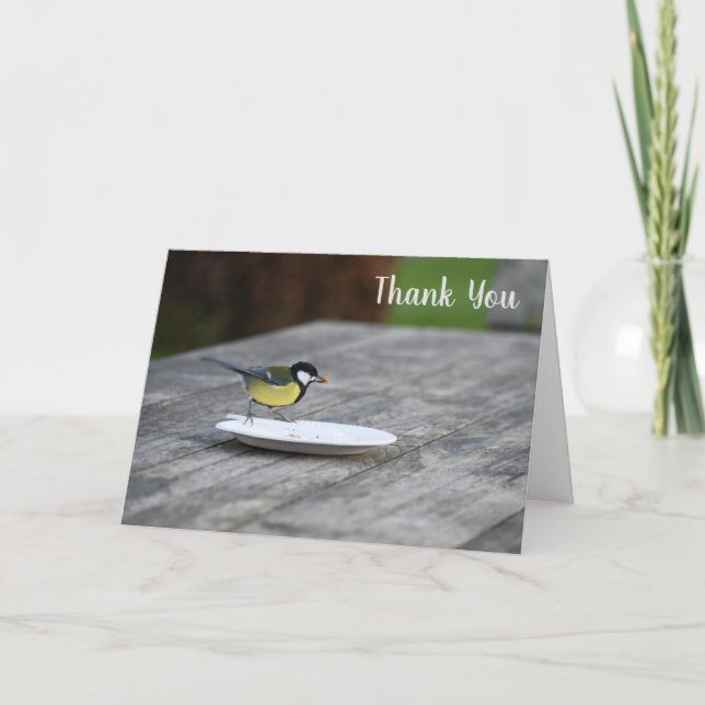 Blue Tit Bird Fütternd Dankeskarte (Vorderseite)