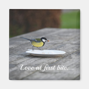 Blue Tit Fütternd auf Cake Plate Liebe bei First B Magnet