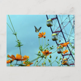 Blue Triangle Butterfly & Cosmos Blume: Japan Postkarte