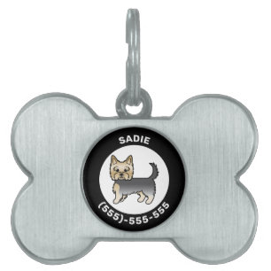 Blue und Gold Yorkshire Terrier mit Name und Numme Tiermarke