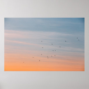 BLUE- UND ORANGE-SKIEN-FLOCK POSTER