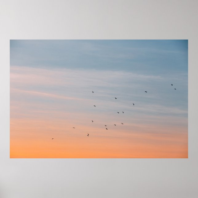 BLUE- UND ORANGE-SKIEN-FLOCK POSTER (Vorne)