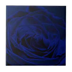Blue Velvet Rose.jpg Fliese