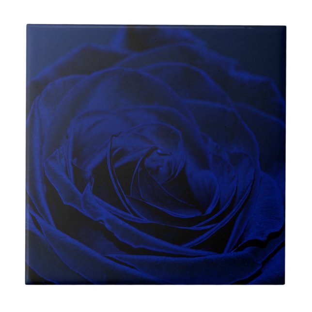Blue Velvet Rose.jpg Fliese (Vorderseite)