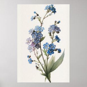 Blue vergiss me Nots Blume Art Print Poster