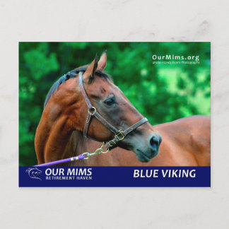 Blue Viking Postcard Postkarte