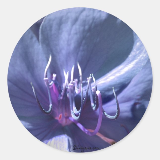 Blue Violet Wedding Umschlag Aufkleber Sticker (Vorderseite)