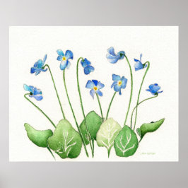 Blue Violets Poster Print