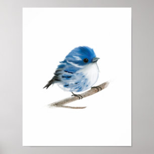 Blue Warbler Bird Print Poster