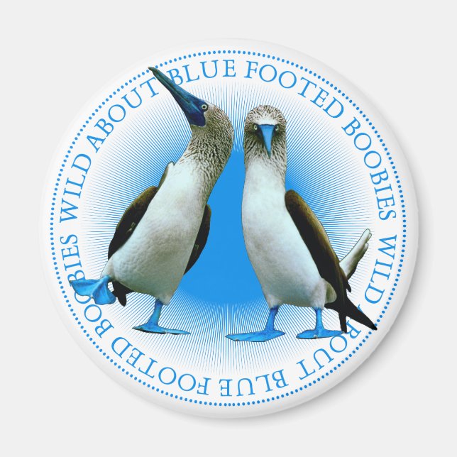 Blue Webbed Foot Birds Galapagos Islands Souvenir Magnet (Vorne)