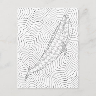 Blue Whale Adult Coloring Postcard Postkarte