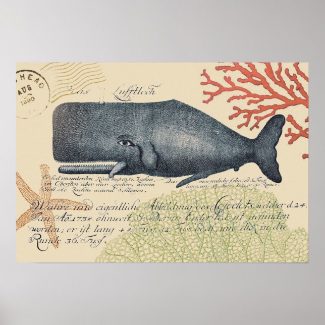 Blue Whale Collage Poster (Vorne)