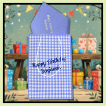 Blue White Matching Patterns Gingham