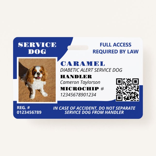 Blue White Service Hund Foto ID QR Code Ausweis (Vorderseite)
